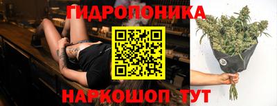 гашик Нарткала