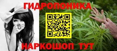 гашик Нарткала