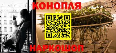 СК Наро-Фоминск