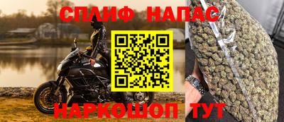 гашик Нарткала