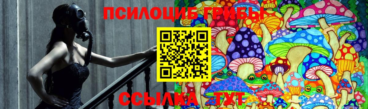 Псилоцибиновые грибы мухоморы Таганрог