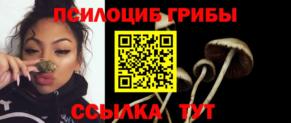 Псилоцибиновые грибы Cubensis  Вход с VPN  Таганрог 